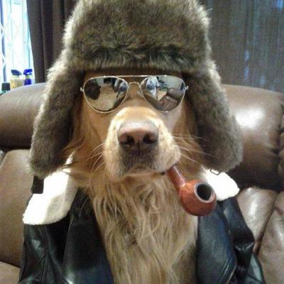 MoneyHacker's avatar