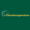 The Rolex Super Clone's avatar