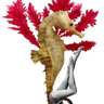 Felix Vale's avatar
