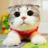 Riki Maru's avatar