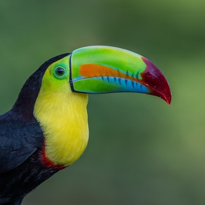feelgoodfreddy's avatar