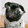 howsun's avatar