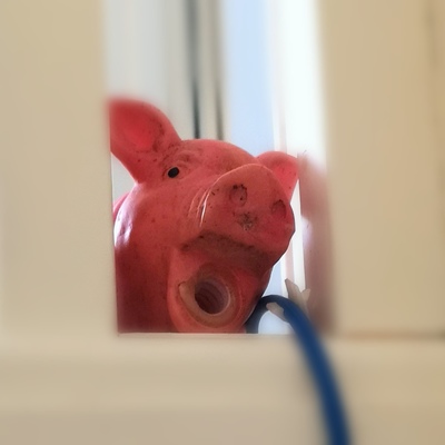 Fraser's avatar