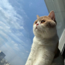 ximu's avatar