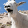 Thomas McNicol's avatar