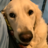 Marvin Malkowski Jr.'s avatar