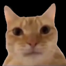 Kristiyan Genkov's avatar
