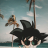 Peter Kester 's avatar