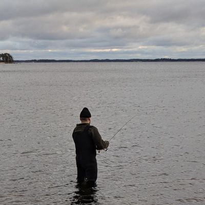 Daniel's avatar