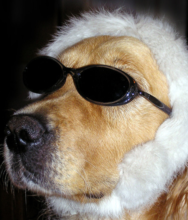 Jorj Stick's avatar