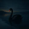 NoirCygnus's avatar