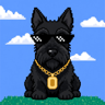 CRS's avatar