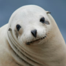 RunItBackToTurbo's avatar