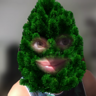 liseo's avatar