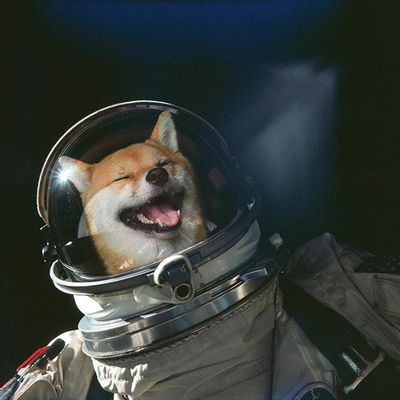 Oli Hall's avatar