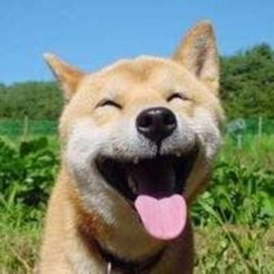 Alex's avatar