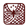Igor Tolkachev's avatar