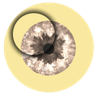 Differson LLC's avatar