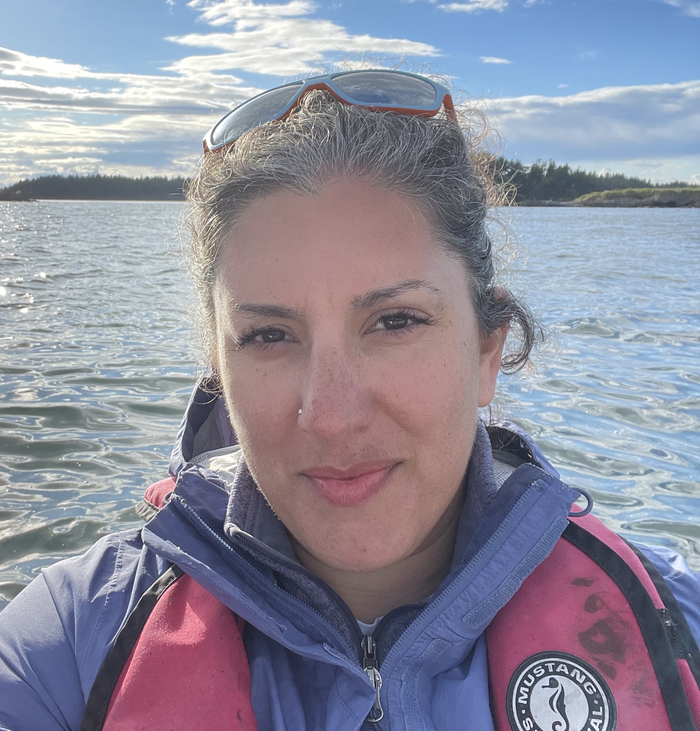 Anne Gibbon's avatar