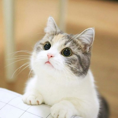 felixl's avatar