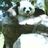 byung's avatar