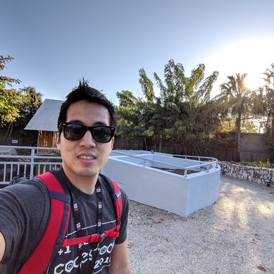 David Nguyen's avatar