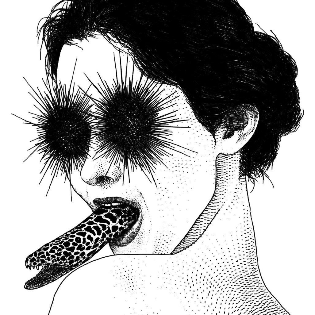 Alerases's avatar