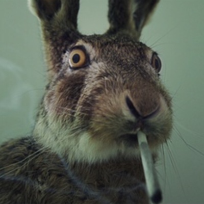 Honusz's avatar
