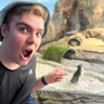 Alex's avatar