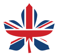 bdissertationhelp's avatar