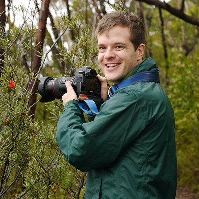 Paul Daiko's avatar