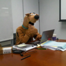 Localhost CEO's avatar