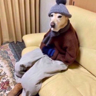 Sam I's avatar
