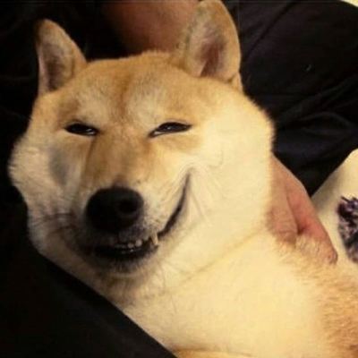 Huston's avatar