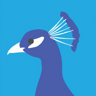 disc0turk3y's avatar
