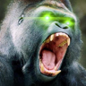 GG's avatar