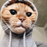 Hberk's avatar