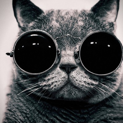 takenbythedesert's avatar