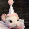 Shrrttuu's avatar
