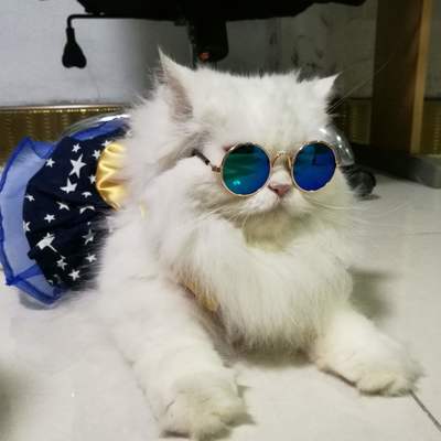 BankThe1's avatar