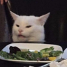 BillGatesCat's avatar