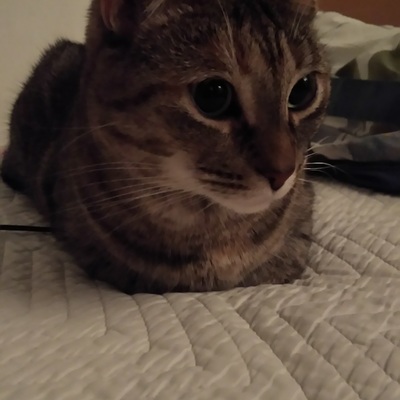 beeboopbeep's avatar