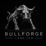 BullForge_Labs's avatar