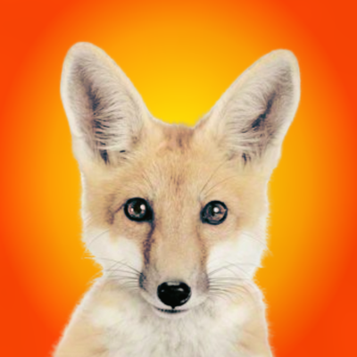 Andre Fuchs's avatar