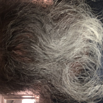 grey_beard's avatar