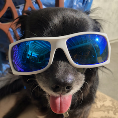 neoevo's avatar