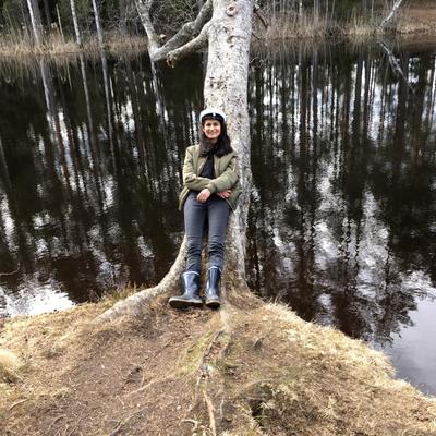 tulika19's avatar