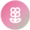 Arizona Flower Delivery's avatar