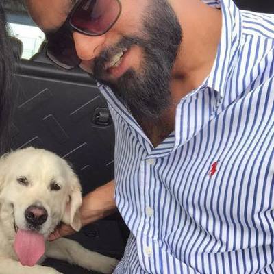 Nimran Riaz's avatar