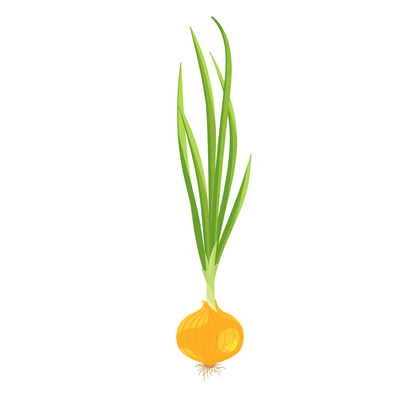 VEGAN 5AUCE's avatar